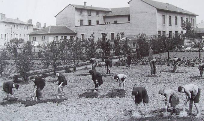 Dans le jardin potager à La Croix-Rousse