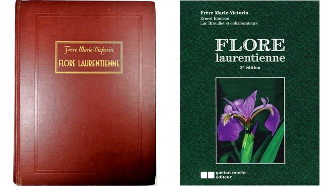 Deux exemplaires de la Flore laurentienne (celui des Archives lasalliennes et un autre d'un site commercial