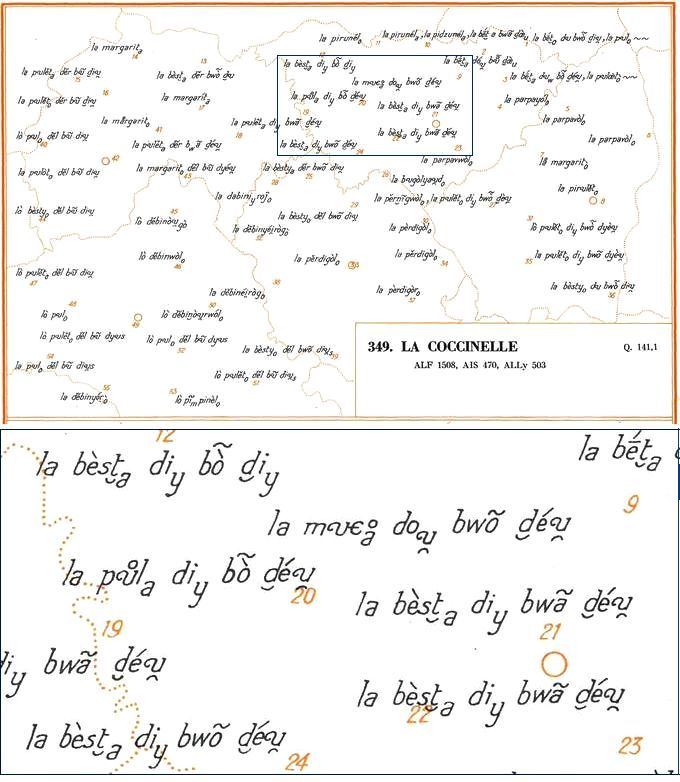 Une planche de l'atlas linguistique sur la coccinelle et une vue de détail