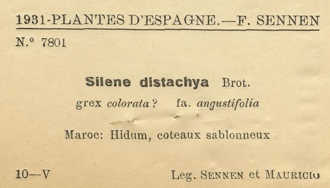 Exploration en 
                    Espagne ; détail d'une planche
